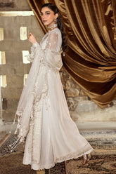 Plain chiffon back with embroidered border from Qalamkar